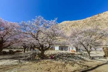 _DSC8516