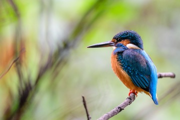 _DSC7474