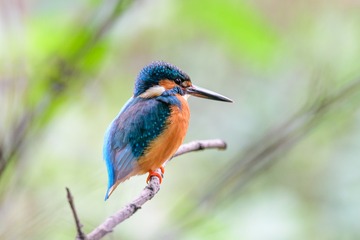 _DSC7500