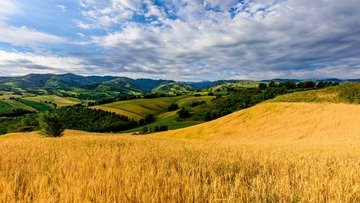 _DSC2571