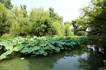 IMG_9166x