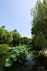 IMG_9169x