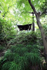 IMG_9177x