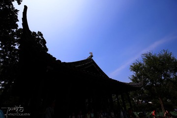 IMG_9193x