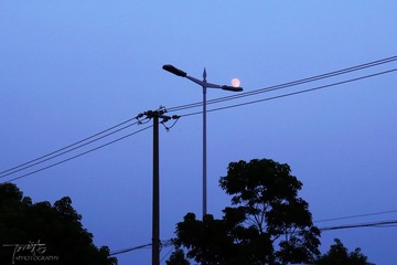 IMG_9347x