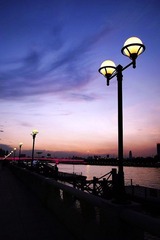 P8182553.jpg