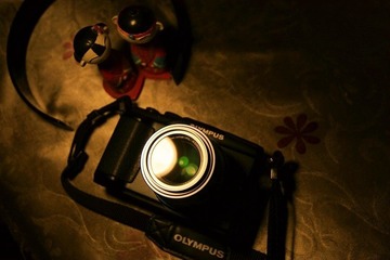 _MG_6529.jpg