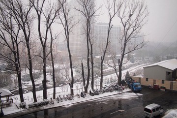 PC013436.jpg