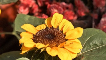 PC163583.jpg