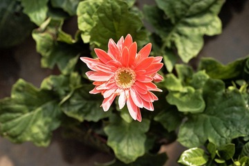PC163597.jpg