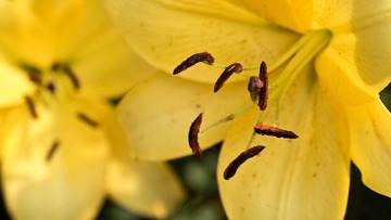 PC163600.jpg