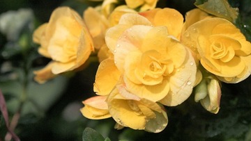PC163606.jpg