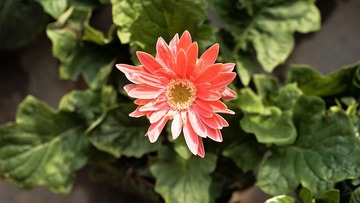 PC163597.jpg
