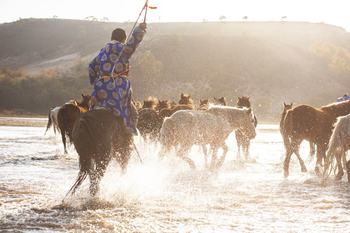套马杆的汉子 你威武雄壮