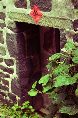 DSC06747-1