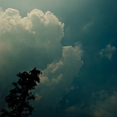 順著雲生長的方向