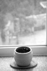 DSC_4812_1