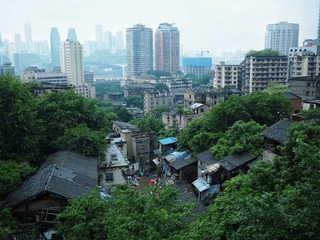 OI000089-01