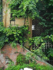 OI000107-01