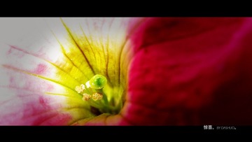 IMG_2128.jpg