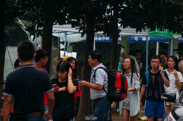 _IGP2010