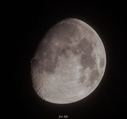 _IGP2120