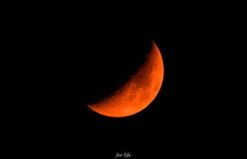 _IGP2997
