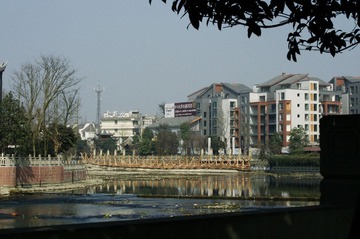 IMGP9809.jpg