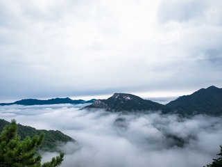 P9140522