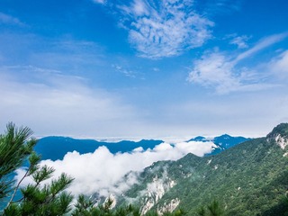 P9140539
