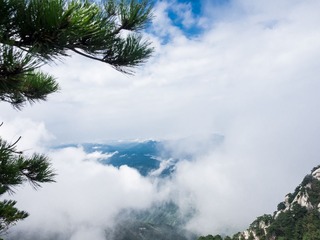P9140566