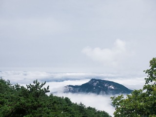 P9140572