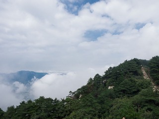 P9140579
