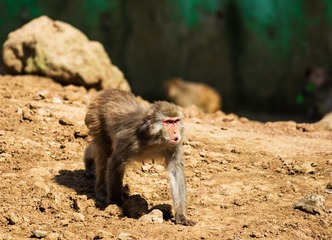 _DSC1253