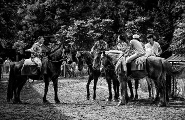 _DSC1397-2