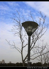 江湾 路灯
