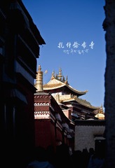 20111004-_MG_0672.jpg