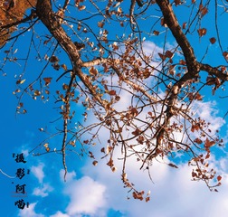 270B9BA0-912F-40FC-B152-CC343EDAE608/L0/001
