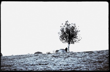 _IGP6122_DxO