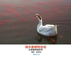 76830