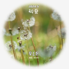 99141