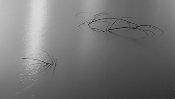 DSC02423-1