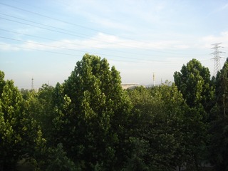 4964661