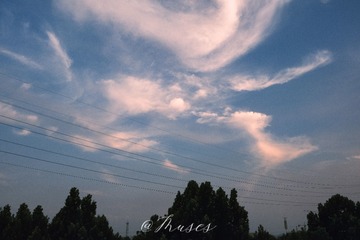 A6E580C4-6203-4A3D-93F1-356225444FA2/L0/001
