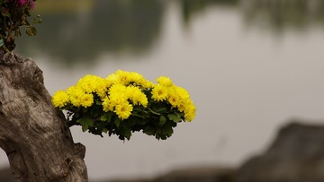 5327