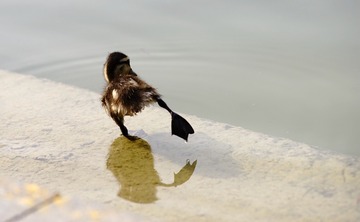 1285