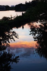 DSC00895_pro
