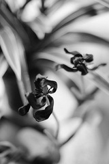 DSC01170.jpg