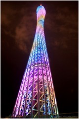 _MG_4401+