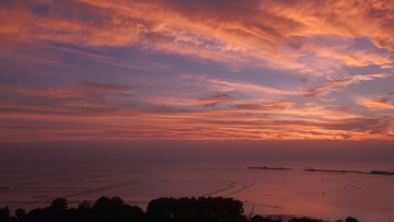 DJI_0310